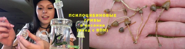трава Беломорск