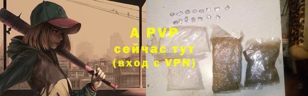 гидропоника Белокуриха