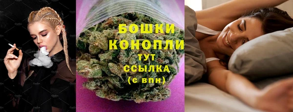 гидропоника Белокуриха